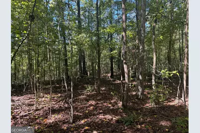 0 Gene Smith Road, Carlton, GA 30627 - Photo 17
