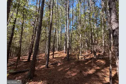 0 Gene Smith Road, Carlton, GA 30627 - Photo 15
