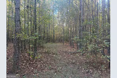 0 Gene Smith Road, Carlton, GA 30627 - Photo 19