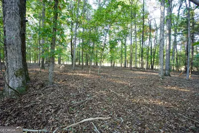 27 Acres New Haven Church Road, Danielsville, GA 30633 - Photo 25