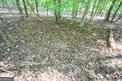 27 Acres New Haven Church Road, Danielsville, GA 30633 - Photo 53