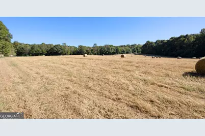 27 Acres New Haven Church Road, Danielsville, GA 30633 - Photo 23