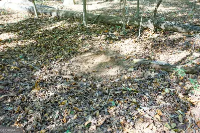 27 Acres New Haven Church Road, Danielsville, GA 30633 - Photo 49
