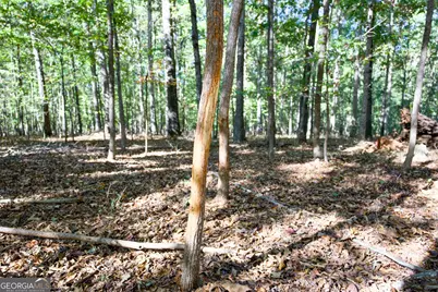 27 Acres New Haven Church Road, Danielsville, GA 30633 - Photo 29