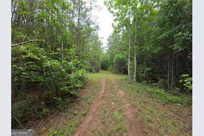 395 Milner Road, Zebulon, GA 30295 - Photo 75