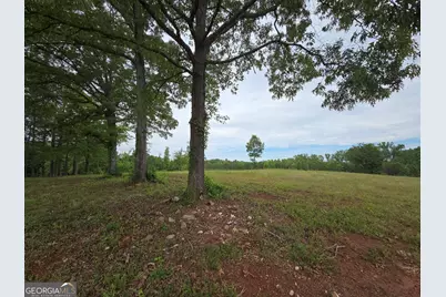 395 Milner Road, Zebulon, GA 30295 - Photo 63