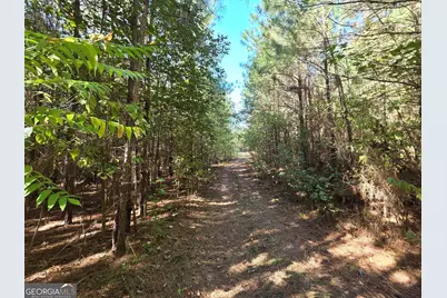 395 Milner Road, Zebulon, GA 30295 - Photo 103