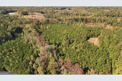 395 Milner Road, Zebulon, GA 30295 - Photo 109