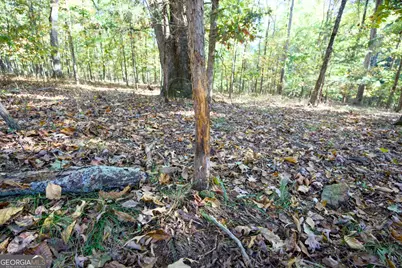 39 Acres New Haven Church Road, Danielsville, GA 30633 - Photo 57