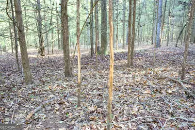 39 Acres New Haven Church Road, Danielsville, GA 30633 - Photo 53