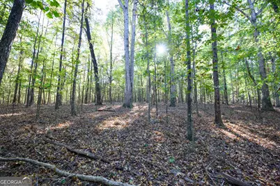 39 Acres New Haven Church Road, Danielsville, GA 30633 - Photo 65