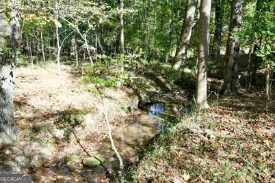 39 Acres New Haven Church Road, Danielsville, GA 30633 - Photo 67