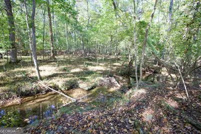 39 Acres New Haven Church Road, Danielsville, GA 30633 - Photo 17