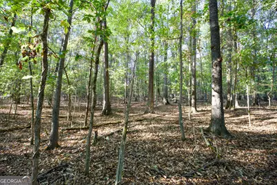 39 Acres New Haven Church Road, Danielsville, GA 30633 - Photo 33