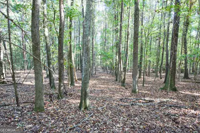 39 Acres New Haven Church Road, Danielsville, GA 30633 - Photo 31