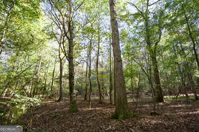 39 Acres New Haven Church Road, Danielsville, GA 30633 - Photo 35