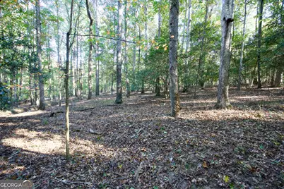 39 Acres New Haven Church Road, Danielsville, GA 30633 - Photo 61
