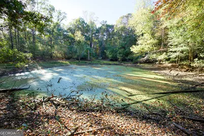 39 Acres New Haven Church Road, Danielsville, GA 30633 - Photo 73