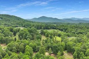 805 Quail Cove Cir, Warne, NC 28909 - Photo 95