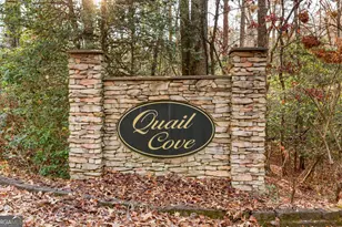 805 Quail Cove Cir, Warne, NC 28909 - Photo 43