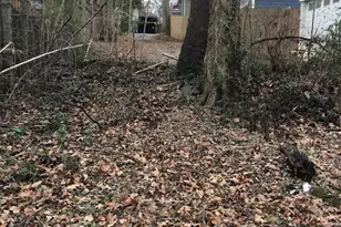 308 Bass St, Atlanta, GA 30315 - Photo 5