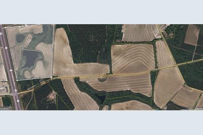 0 Hwy 301 S, Register, GA 30452 - Photo 1