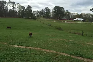 3185 Kellogg Creek Rd, Acworth, GA 30102 - Photo 7