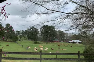 3185 Kellogg Creek Rd, Acworth, GA 30102 - Photo 11