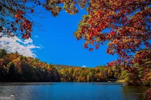 314 Lake Forest Dr, Ellijay, GA 30540 - Photo 17