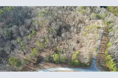 314 Lake Forest Drive, Ellijay, GA 30540 - Photo 11