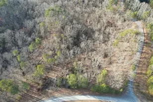 314 Lake Forest Dr, Ellijay, GA 30540 - Photo 11