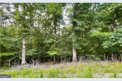 Lot 1185 Maize Court, Ellijay, GA 30540 - Photo 1