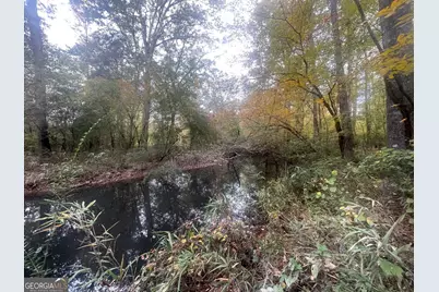 0 Roberts Quarters Road, Concord, GA 30206 - Photo 1