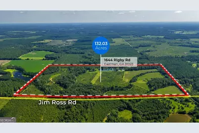 1644 Rigby Road, Eastman, GA 31023 - Photo 1