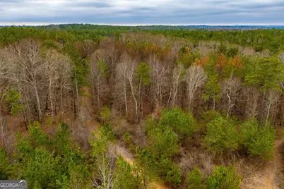 0 Bremen Mt Zion Rd Tracts 2A,2B, Waco, GA 30182 - Photo 1