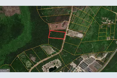 5.95 Acres Colonial Coast Circle #5.95 ACRES, Townsend, GA 31331 - Photo 1
