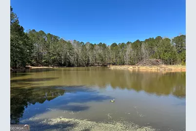 160.29 Acres Carl Mathis Road, Talbotton, GA 31827 - Photo 1