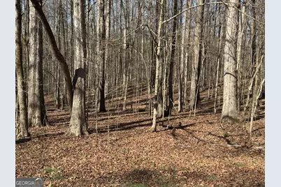 0 Staghorn Trail, Nicholson, GA 30565 - Photo 1