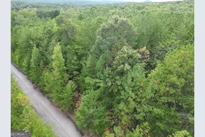 53 Skyline Drive, Braswell, GA 30153 - Photo 1