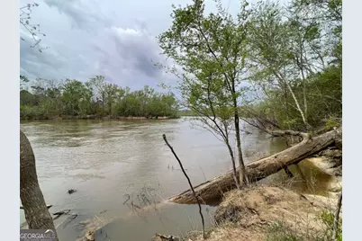 728 McNatt Falls Road, Uvalda, GA 30473 - Photo 1