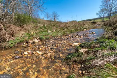 13.75Ac Tipton Springs Road, Morganton, GA 30560 - Photo 1