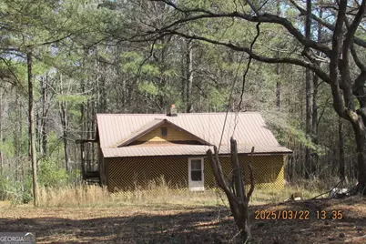 8740 Atlanta Newnan Road, Chattahoochee Hills, GA 30268 - Photo 1