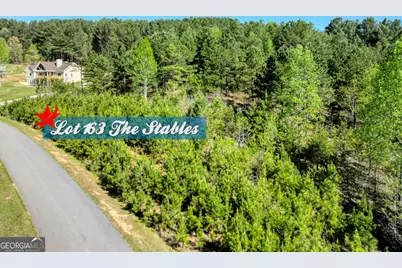 163 Stables Loop, Blairsville, GA 30512 - Photo 1