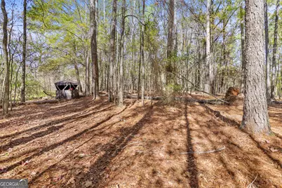 20.14 Drew Allen Road, Williamson, GA 30292 - Photo 1