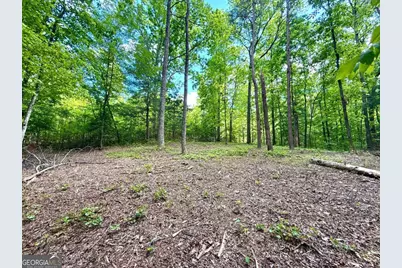 164 Reindeer Lane, Talking Rock, GA 30175 - Photo 1