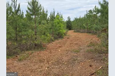 12 Marvin Murphy Road, Ellaville, GA 31806 - Photo 1