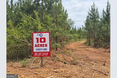 024 Marvin Murphy Road, Ellaville, GA 31806 - Photo 1