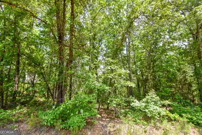 0 Skelton Road #LOT 12, Thomaston, GA 30286 - Photo 1