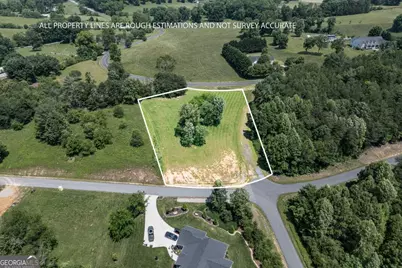 Lot 168 Owen Glen, Blairsville, GA 30512 - Photo 1