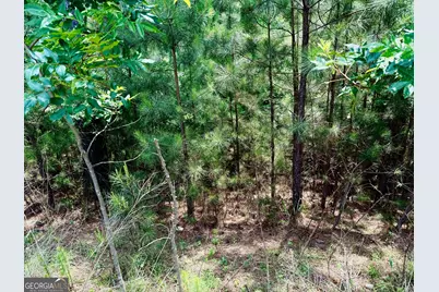 267 Garden Street, Blairsville, GA 30512 - Photo 1